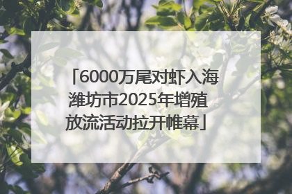 6000万尾对虾入海 潍坊市2025年增殖放流活动拉开帷幕