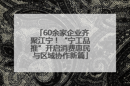 60余家企业齐聚江宁！“宁工品推”开启消费惠民与区域协作新篇