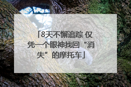 8天不懈追踪 仅凭一个眼神找回“消失”的摩托车