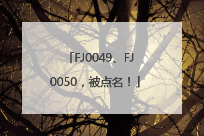 FJ0049、FJ0050，被点名！